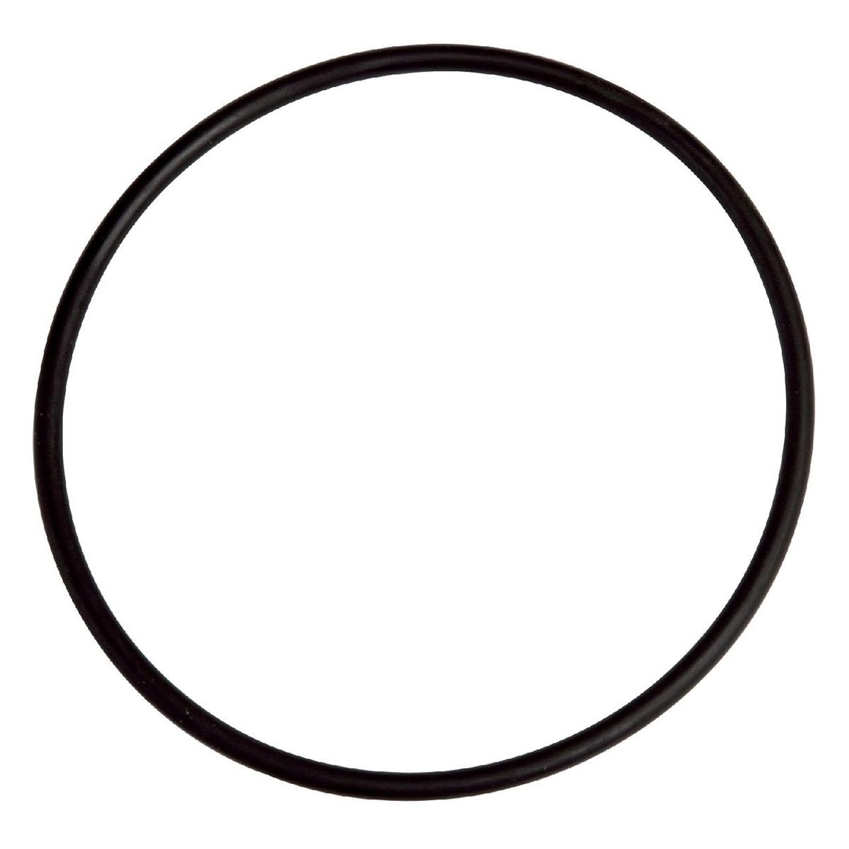 Joint De Dome De Filtre Filclar AM Astral 3 Joint De Dome De Filtre Filclar AM Astral